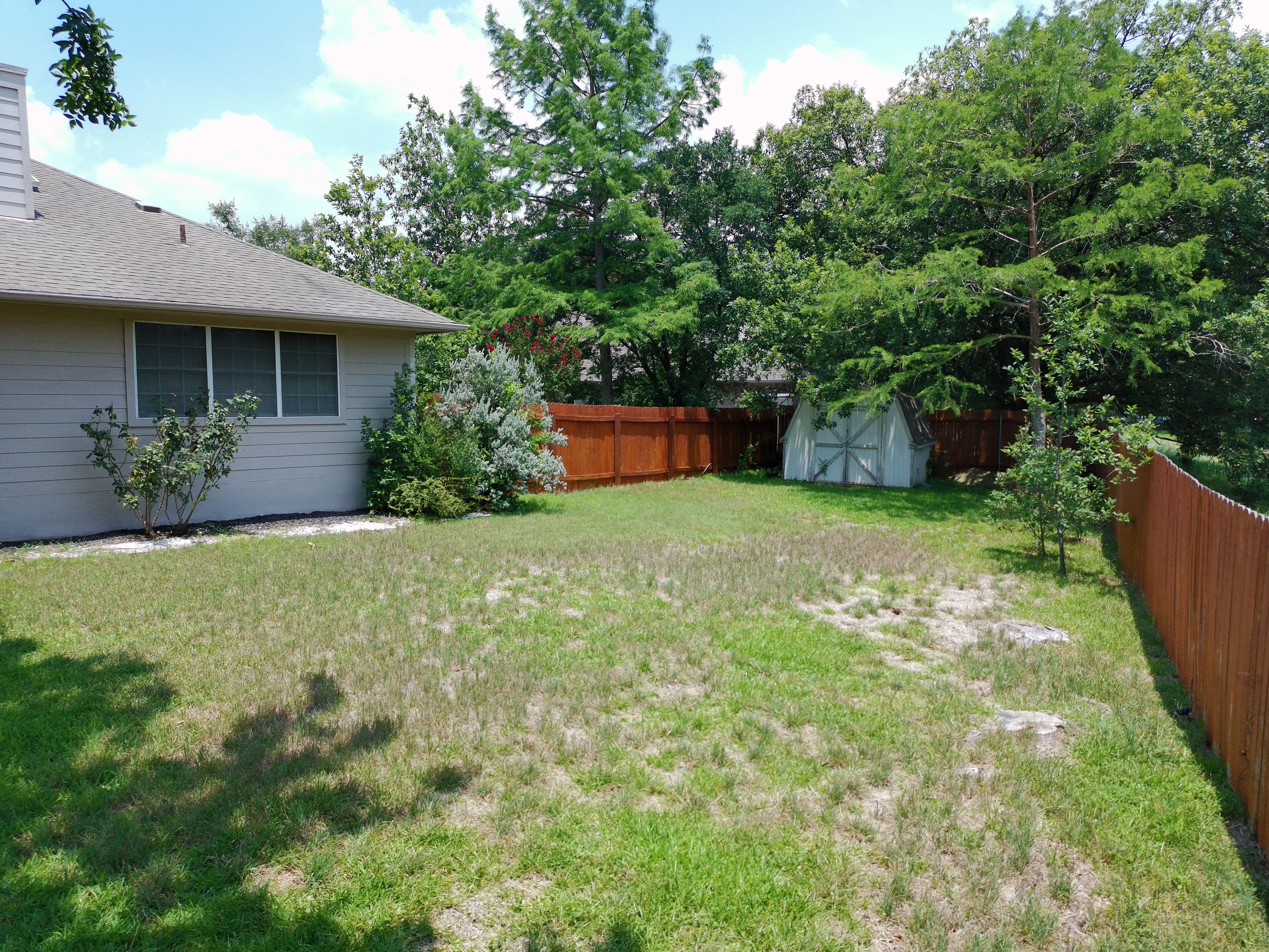 Lawn photo 3