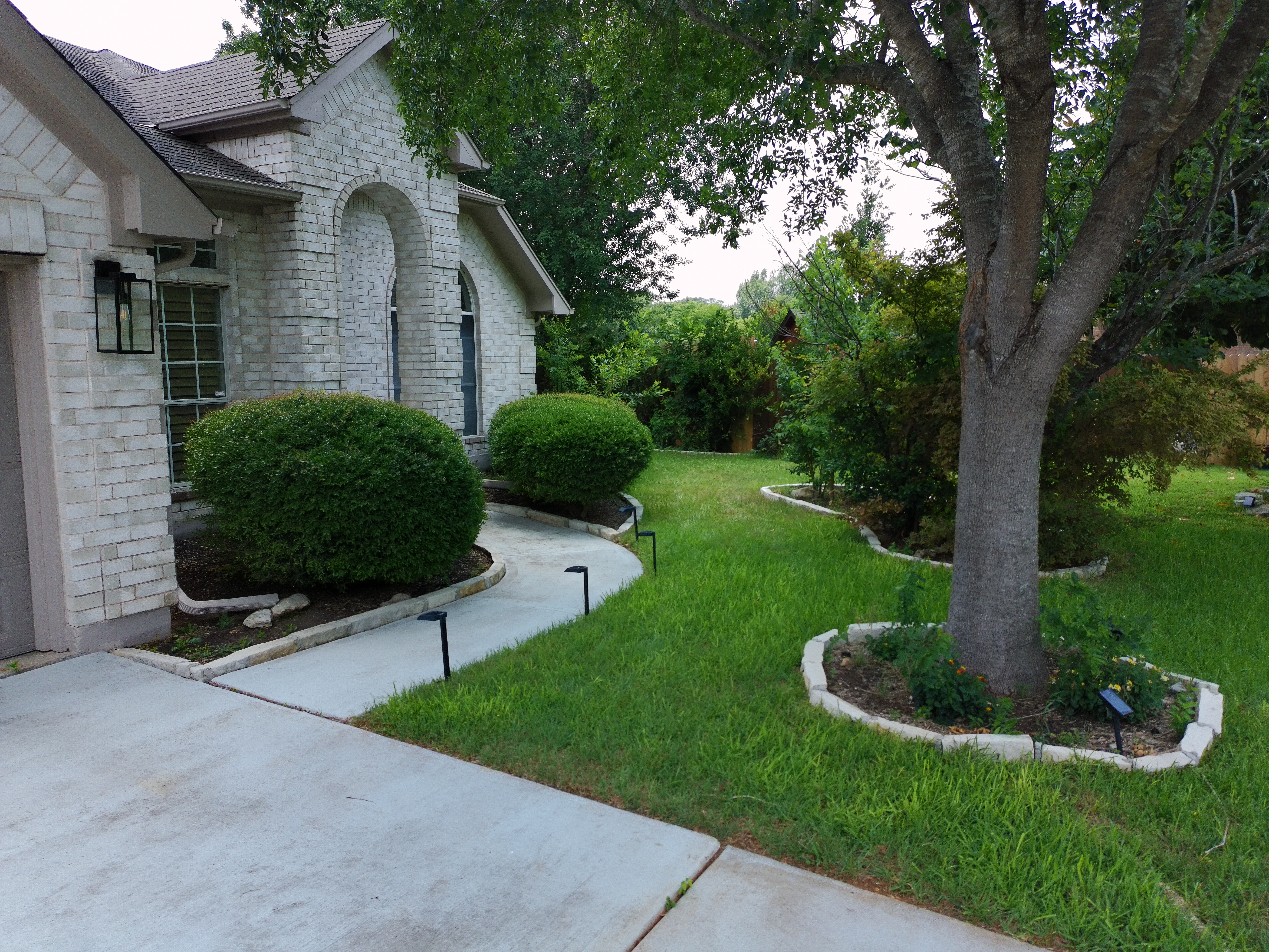 Lawn photo 4